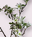 White Blossom XL | Silk artificial flower | Length 130 centimeters