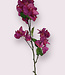 Rosa Bougainvillea | Kunstblume aus Seide | Länge 91 Zentimeter