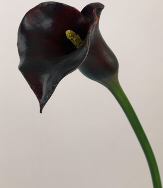 Burgundy Calla | silk artificial flower | 75 centimeters