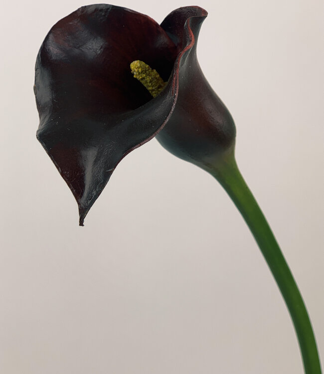Burgundy Calla | Silk artificial flower | Length 75 centimeters
