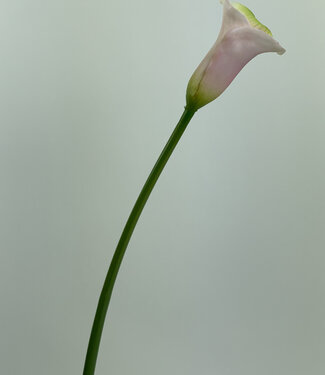 Roze Calla | zijden kunstbloem | 50 centimeter
