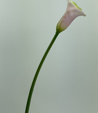 Silk Flowers by JJ Calla rose | fleur artificielle en soie | 50 centimètres