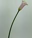 Pink Calla | Silk artificial flower | Length 50 centimeters
