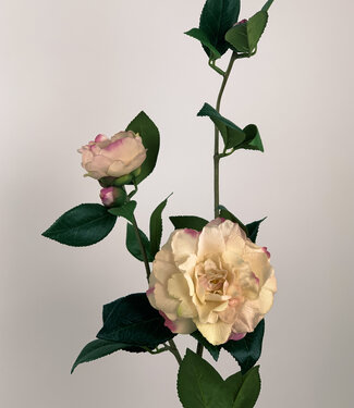 Silk Flowers by JJ Roze Camelia | zijden kunstbloem | 85 centimeter