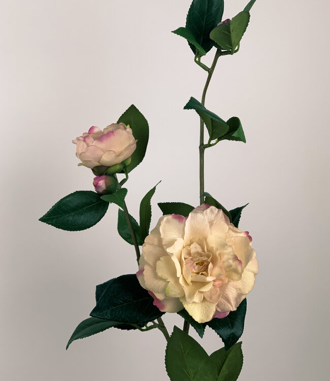 Pink Camellia | Silk artificial flower | Length 85 centimeters