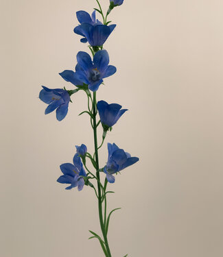 MyFlowers Blaue Campanula | Kunstblume aus Seide | 66 Zentimeter