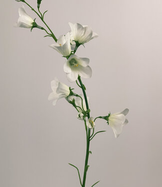 Silk Flowers by JJ Campanule blanche | fleur artificielle en soie | 66 centimètres