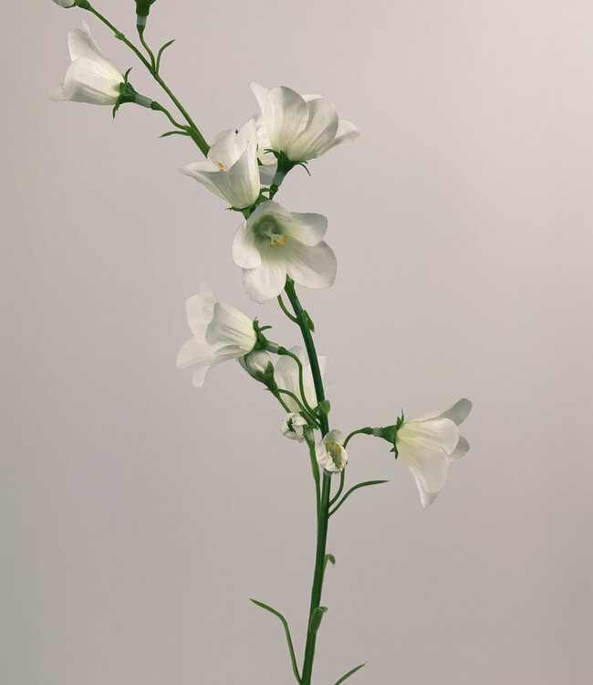 Witte Campanula | Zijden kunstbloem | Lengte 66 centimeter