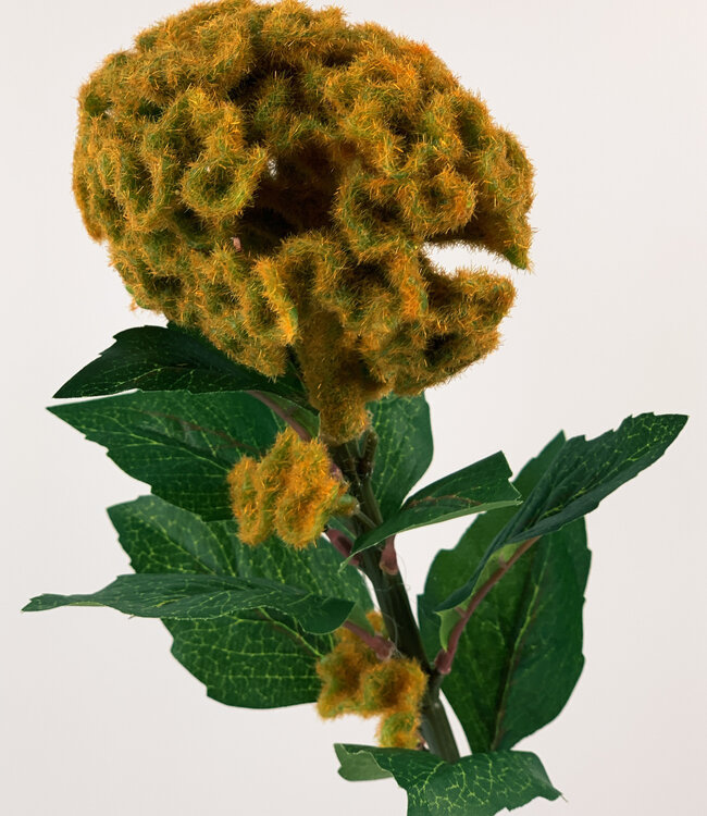 Gele Celosia | Zijden kunstbloem | Lengte 67 centimeter