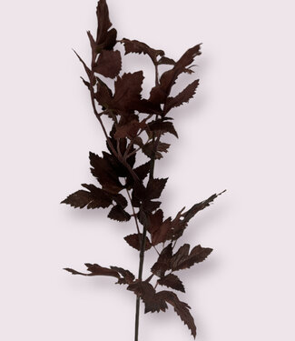 Silk Flowers by JJ Burgundy Christoffel herb | silk artificial flower | 52 centimeters