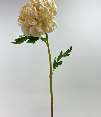 Silk Flowers by JJ Cream-colored Chrysanthemum | silk artificial flower | 63 centimeters