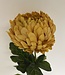 Yellow Chrysanthemum | Silk artificial flower | Length 76 centimeters