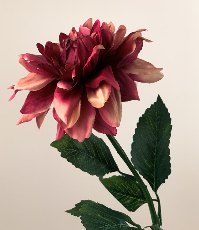 Pink Chrysanthemum | Silk artificial flower | Length 60 centimeters