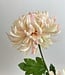 Chrysanthème rose | Fleur artificielle en soie | Longueur 60 centimètres