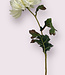 White Chrysanthemum | Silk artificial flower | Length 60 centimeters