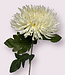 Witte Chrysant | Zijden kunstbloem | Lengte 65 centimeter
