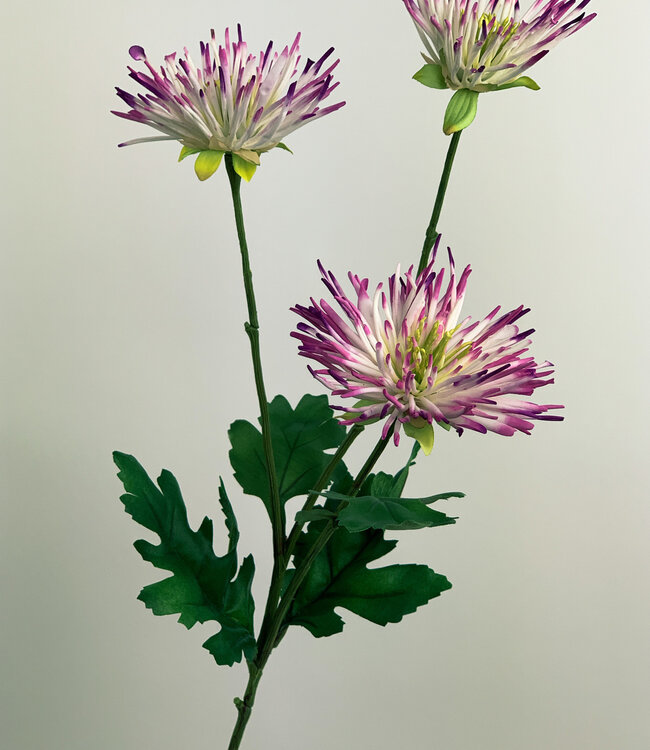 Witroze Chrysant | Zijden kunstbloem | Lengte 73 centimeter