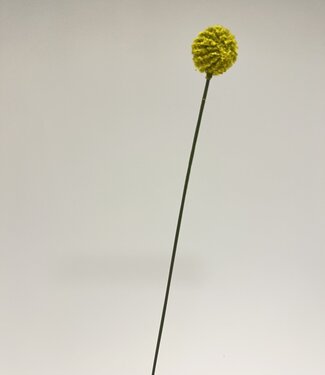 MyFlowers Yellow Craspedia | silk artificial flower | 37 centimeters