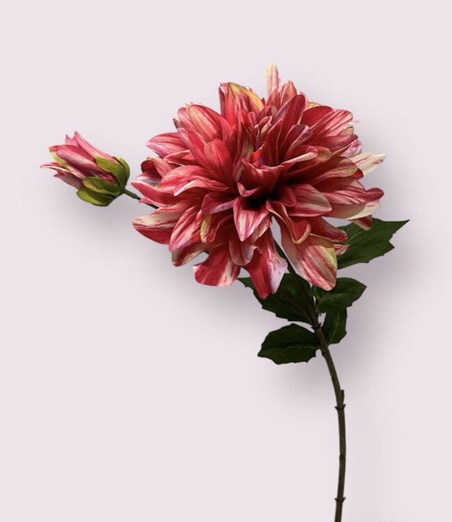 Fuchsia Dahlia | Zijden kunstbloem | Lengte 70 centimeter