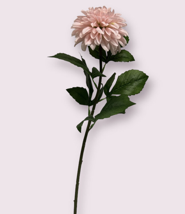 Lichtroze Dahlia | Zijden kunstbloem | Lengte 70 centimeter