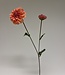 Pink Dahlia | Silk artificial flower | Length 63 centimeters