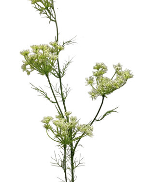 MyFlowers White Dill | silk artificial flower | 120 centimeters