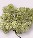 White Dill with leaf | Silk artificial flower | Length 61 centimeters