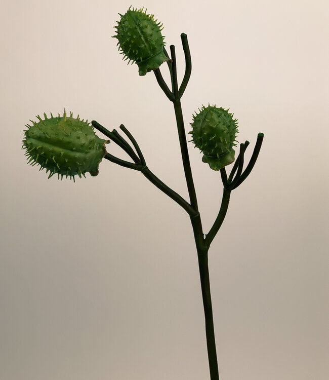 Grüne Datura | Kunstblume aus Seide | Länge 48 Zentimeter