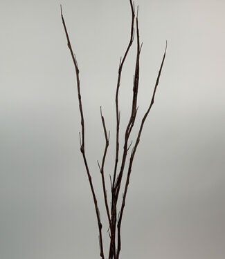 Brown Thorn Branch | silk artificial flower | 100 centimeters