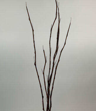 Silk Flowers by JJ Brown Thorn Branch | silk artificial flower | 100 centimeters