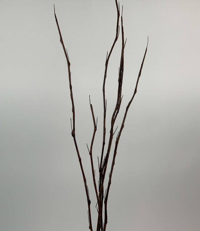 Brown Thorn Branch | Silk artificial flower | Length 100 centimeters