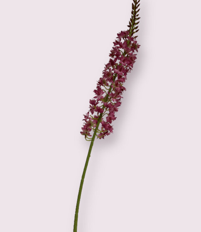 Fuchsia Eremurus | Zijden kunstbloem | Lengte 82 centimeter