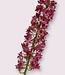 Fuchsia Eremurus | Zijden kunstbloem | Lengte 82 centimeter