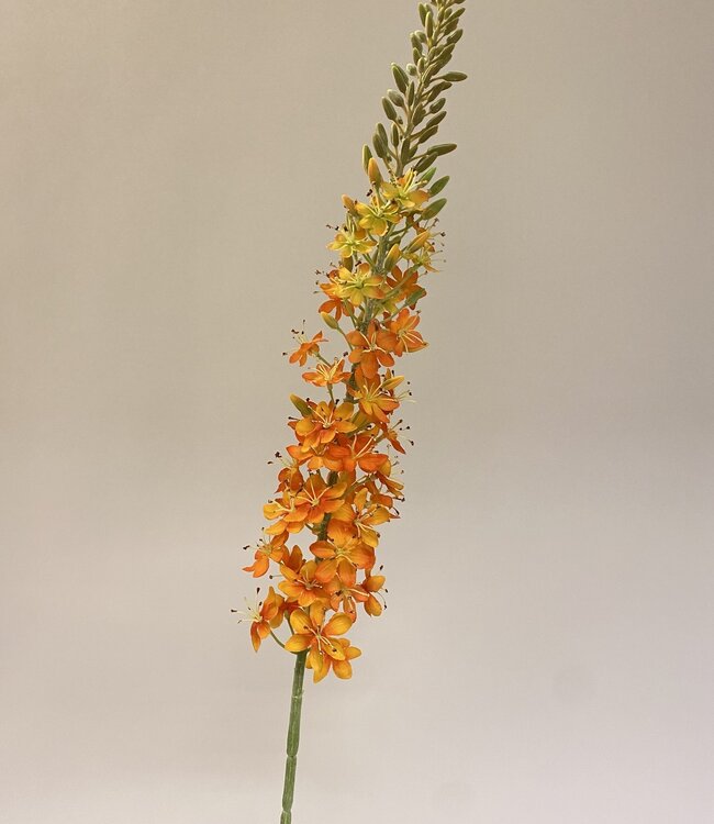 Oranje Eremurus | Zijden kunstbloem | Lengte 106 centimeter