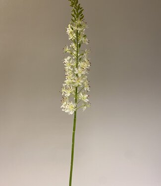 Silk Flowers by JJ Weißer Eremurus | Kunstblume aus Seide | 106 Zentimeter