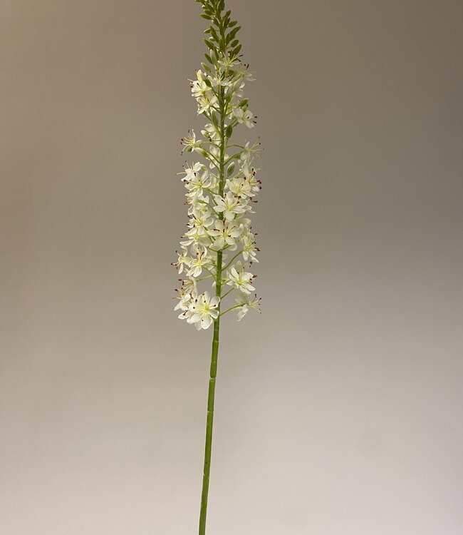 Érémurus blanc | Fleur artificielle en soie | Longueur 106 centimètres