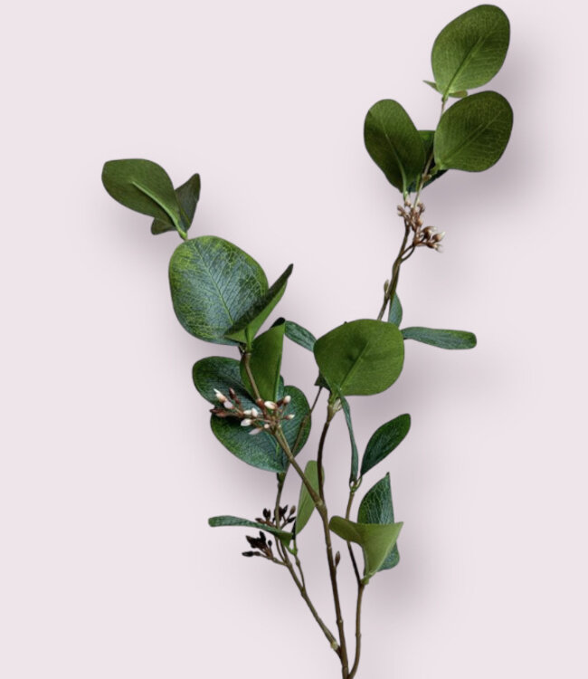 Green Eucalyptus | Silk artificial flower | Length 75 centimeters