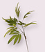 Green Eucalyptus | Silk artificial flower | Length 90 centimeters