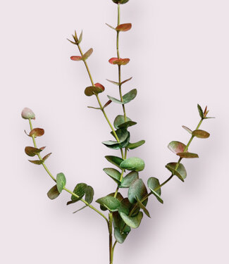 Green-pink Eucalyptus | silk artificial flower | 60 centimeters