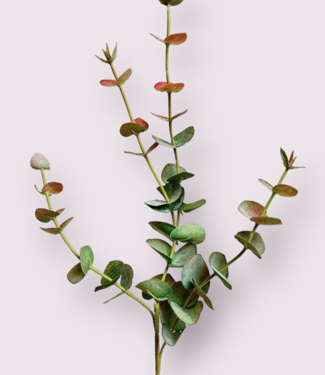 Green-pink Eucalyptus | Silk artificial flower | Length 60 centimeters