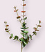 Green-pink Eucalyptus | Silk artificial flower | Length 60 centimeters