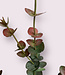 Eucalyptus vert-rose | Fleur artificielle en soie | Longueur 60 centimètres