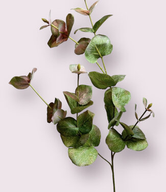 Green-pink Eucalyptus | silk artificial flower | 75 centimeters
