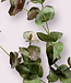 Green-pink Eucalyptus | Silk artificial flower | Length 75 centimeters