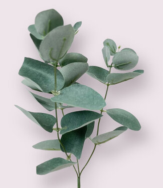 Groengrijze Eucalyptus Tak | zijden kunstbloem | 28 centimeter