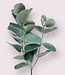 Green-gray Eucalyptus Branch | Silk artificial flower | Length 28 centimeters