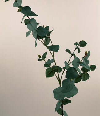 Silk Flowers by JJ Branche d'eucalyptus vert-gris | fleur artificielle en soie | 86 centimètres