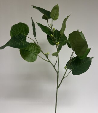 Silk Flowers by JJ Groene Ficus | zijden kunstbloem | 78 centimeter