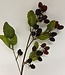 Bordeaux-redRaspberry branch | Silk artificial flower | Length 71 centimeters