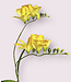 Freesia jaune | Fleur artificielle en soie | Longueur 66 centimètres